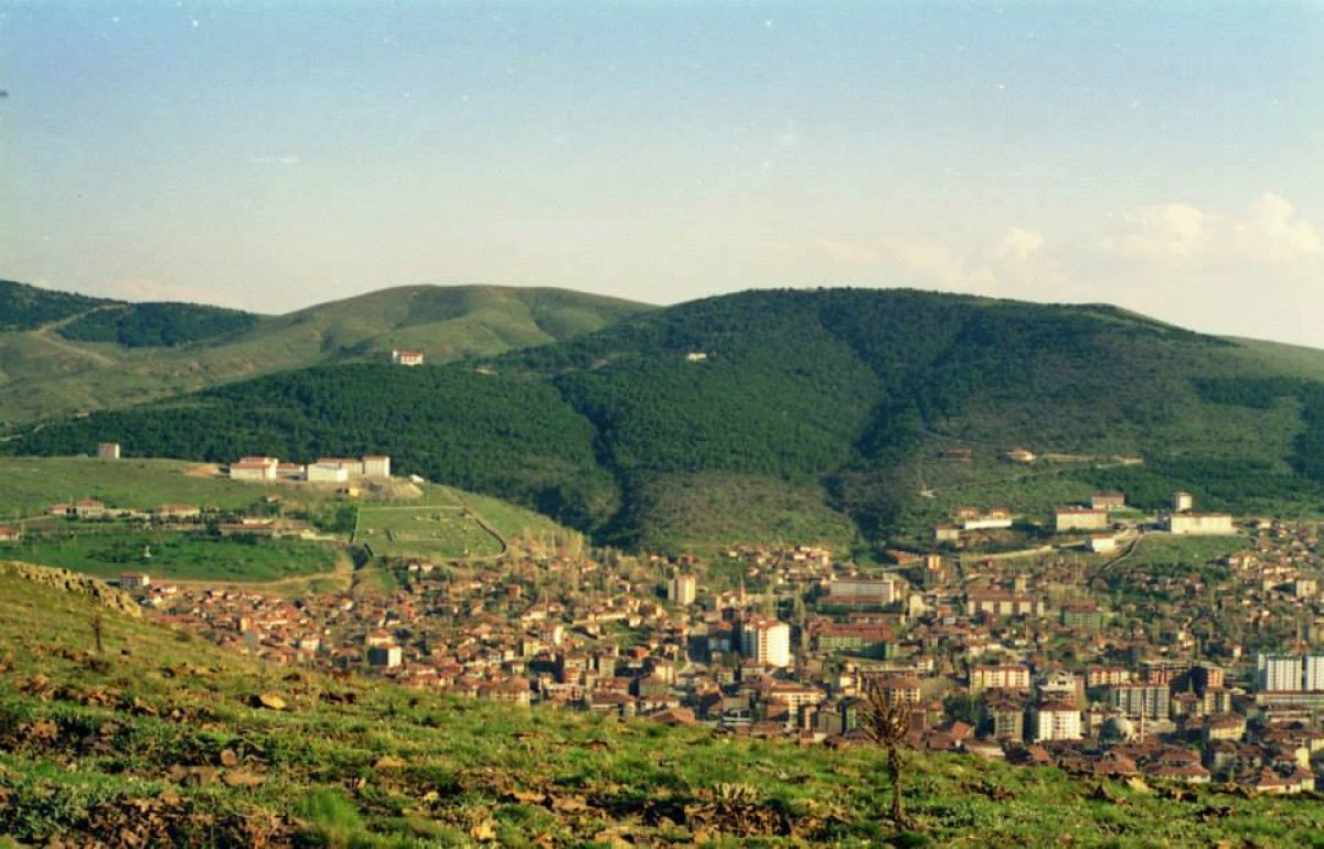 Yozgat Çamlığı