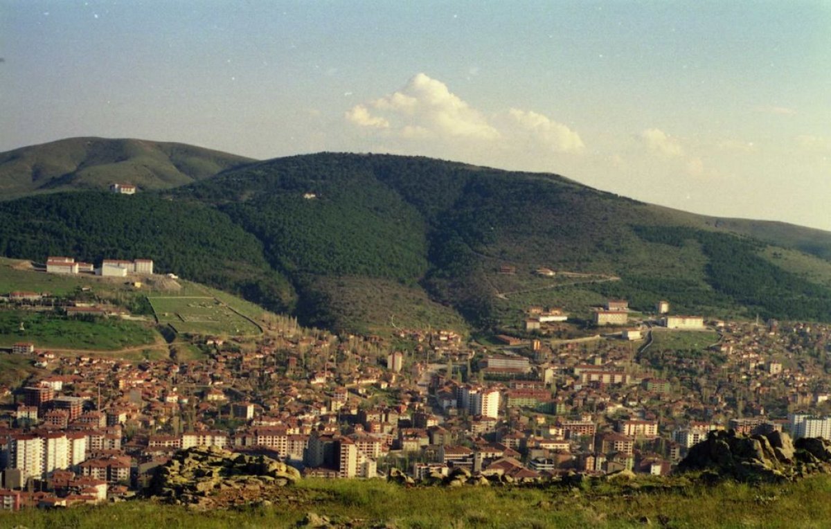 Yozgat Çamlığı