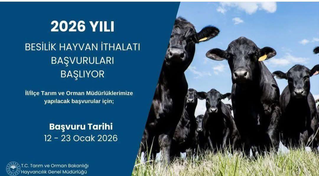 2026 Yılı Besilik Hayvan İthalatı Başvuruları Başlıyor