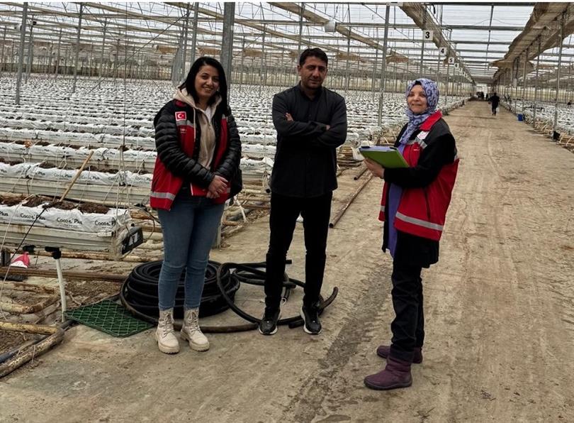 Boğazlıyan’da Örtü Altı Domates Üretimi Başladı 