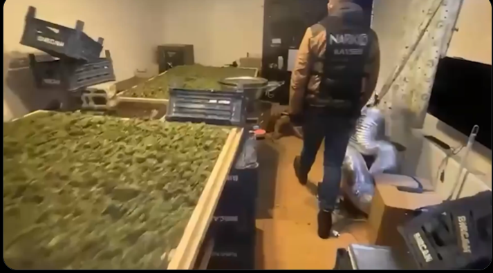 Uyuşturucu Operasyonu 768 Şüpheli Yakalandı