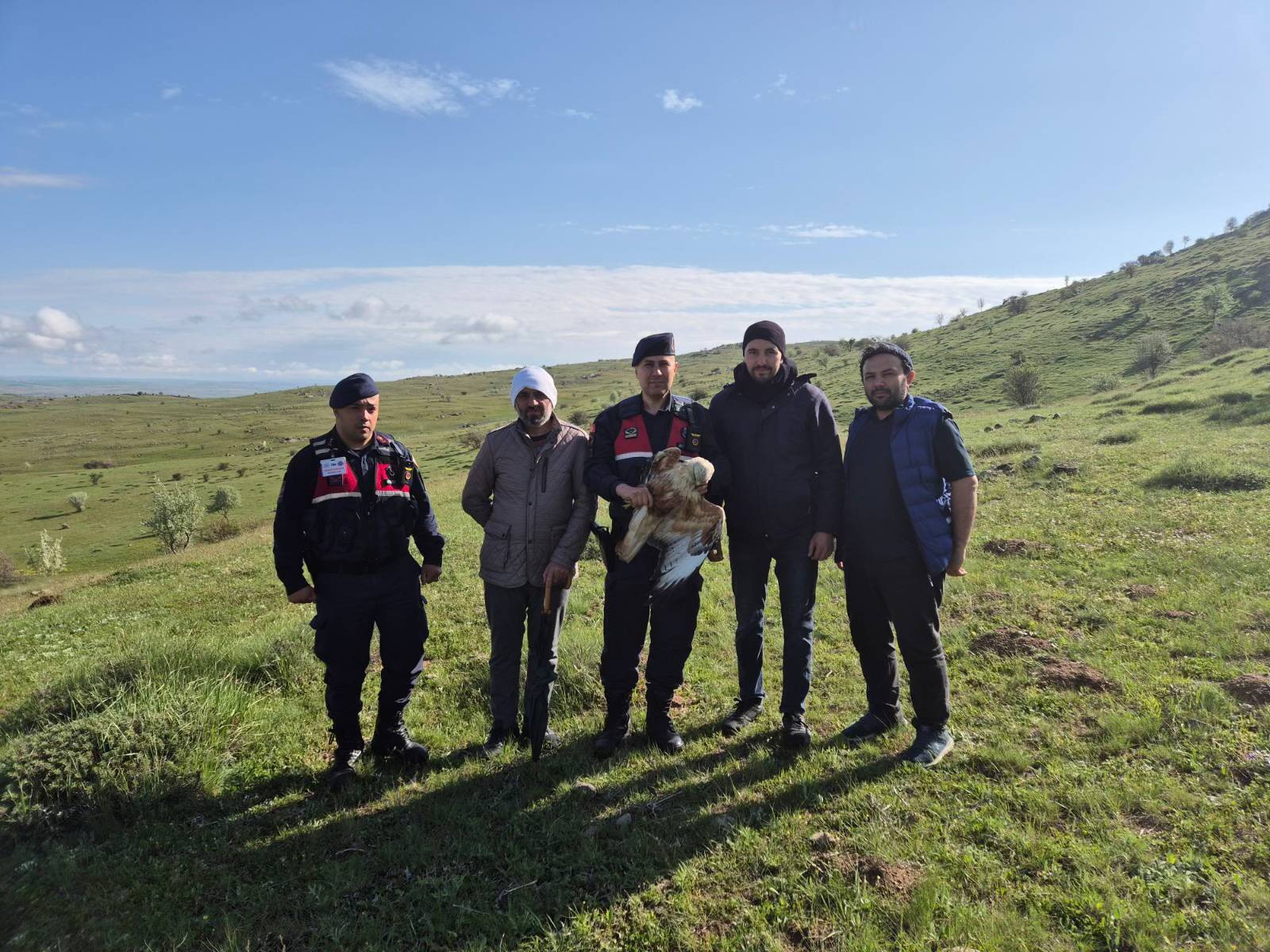 Yozgat’ta Yaralı Kızıl Şahin Jandarma Tarafından Koruma Altına Alındı
