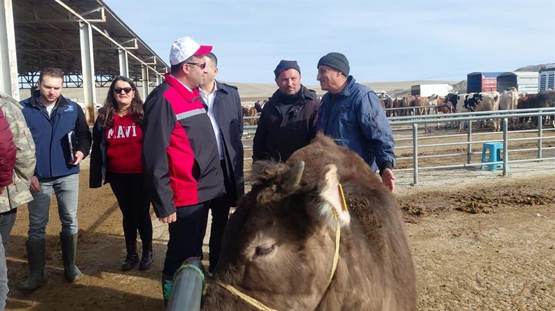 Sorgun Hayvan Pazarı Denetimlerle Yoğun İlgiyle Açıldı